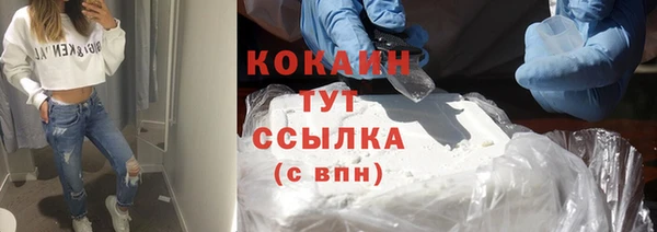 дурь Ладушкин