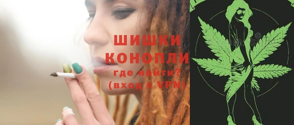 дурь Ладушкин