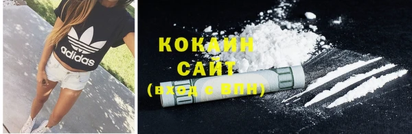 ешки Куйбышев