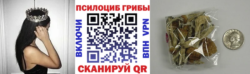Купить где  Остров  Галлюциногенные грибы GOLDEN TEACHER 